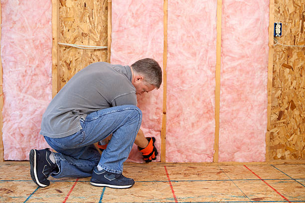 Best Eco-Friendly Insulation in Dunlap, IN