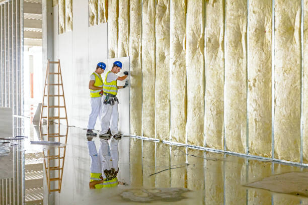 Best Blown-in Insulation in Dunlap, IN